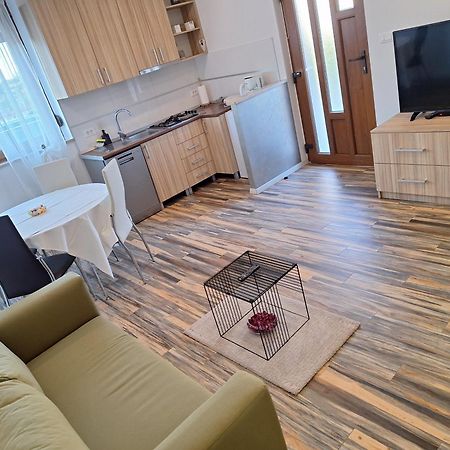 Apartments And Rooms Lorena 236 Ρόβινι Εξωτερικό φωτογραφία