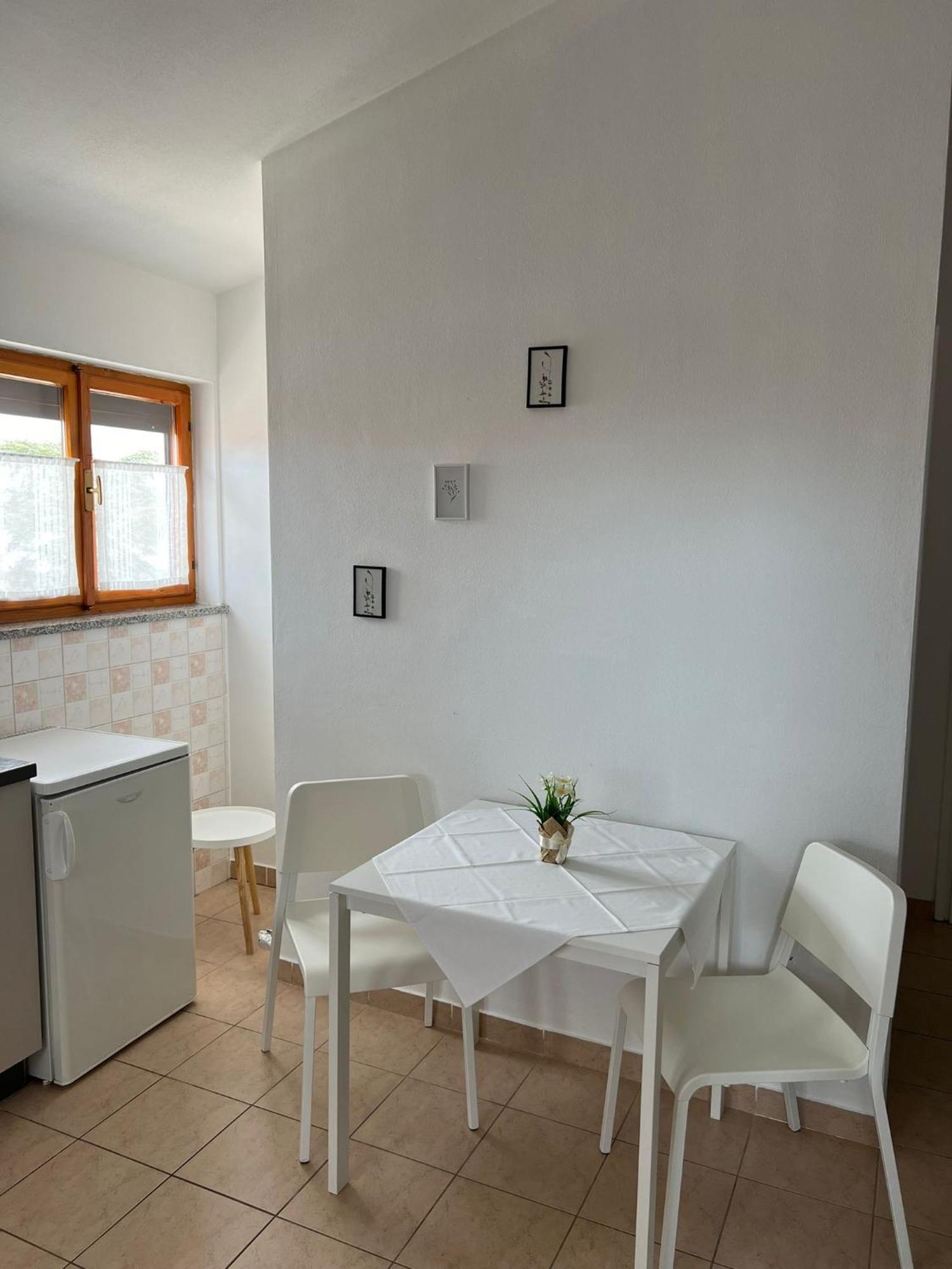 Apartments And Rooms Lorena 236 Ρόβινι Εξωτερικό φωτογραφία