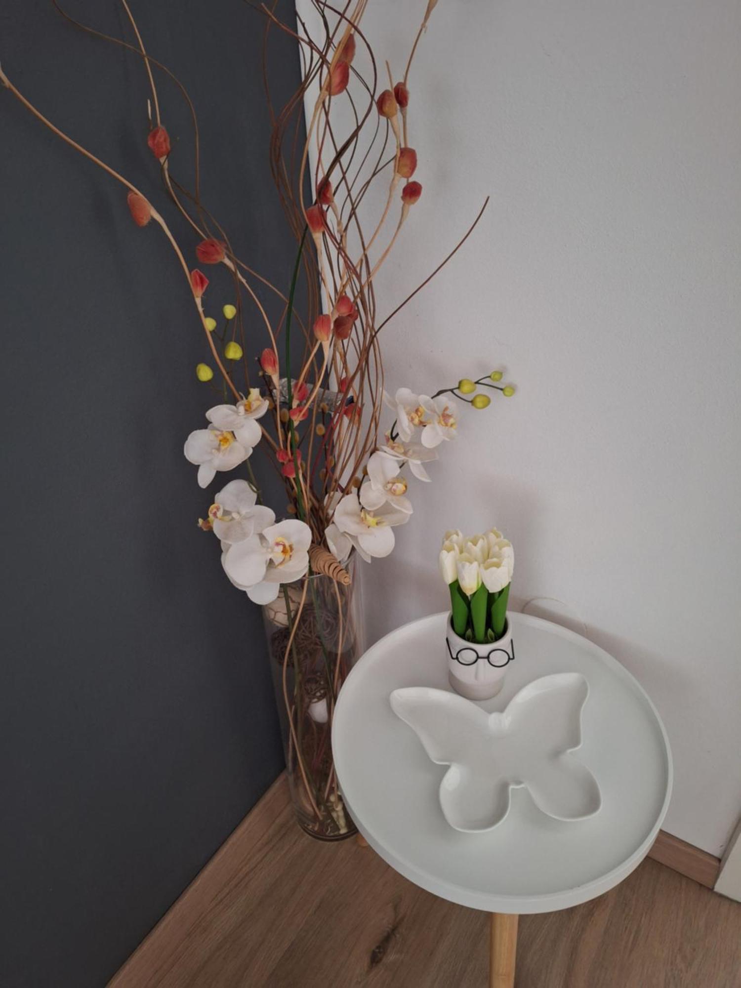 Apartments And Rooms Lorena 236 Ρόβινι Εξωτερικό φωτογραφία